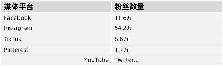 女装品牌出海又一新势力！Bella Barnett 如何做营销推广？