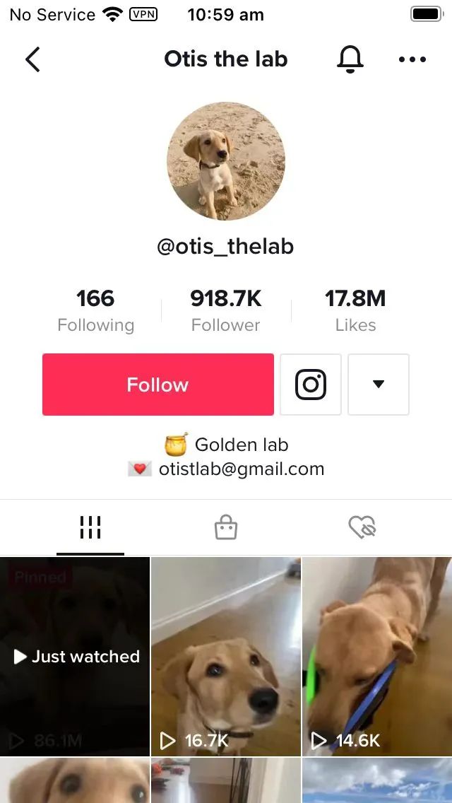 unlocked!  TikTok's pet account turns into a century-old problem