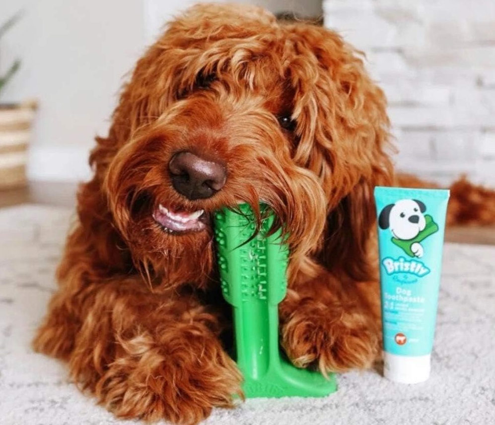 商标专利版权全方位维权！119个卖家中招，Bristly 宠物咀嚼玩具危险！