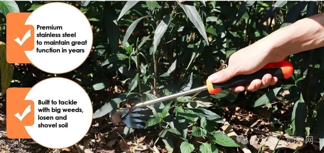 紧急！Listing有这2个词汇快删掉，大批卖家收到下架通知！