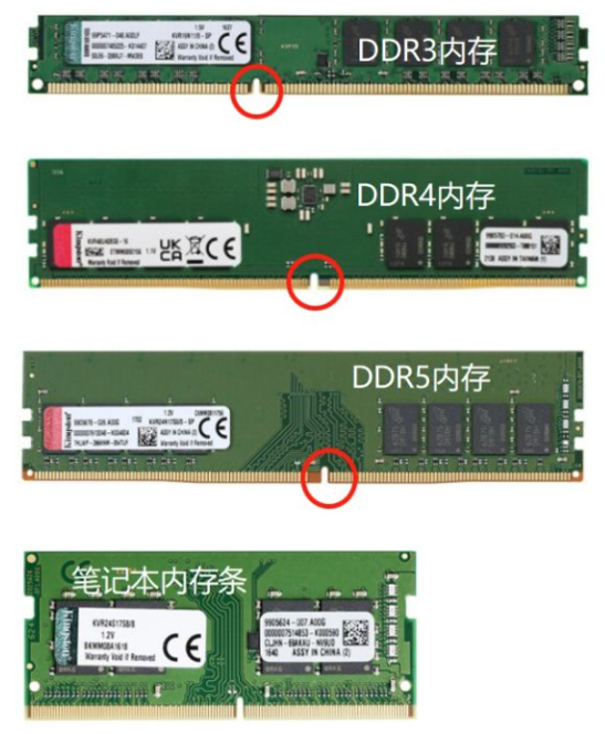 经理开小灶!SSD+Memory,固态硬盘与内存品类精读,学到即赚到!