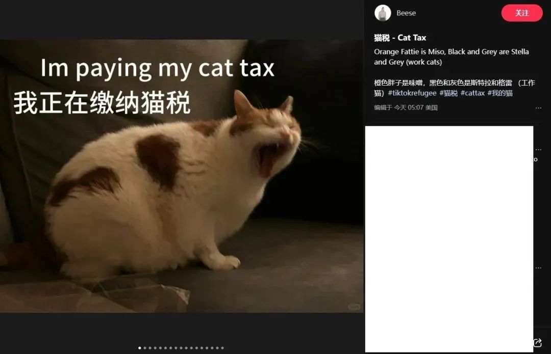 TikTok或遭禁，小红书火爆“海外” ，跨境人的“逆袭”风口来了！