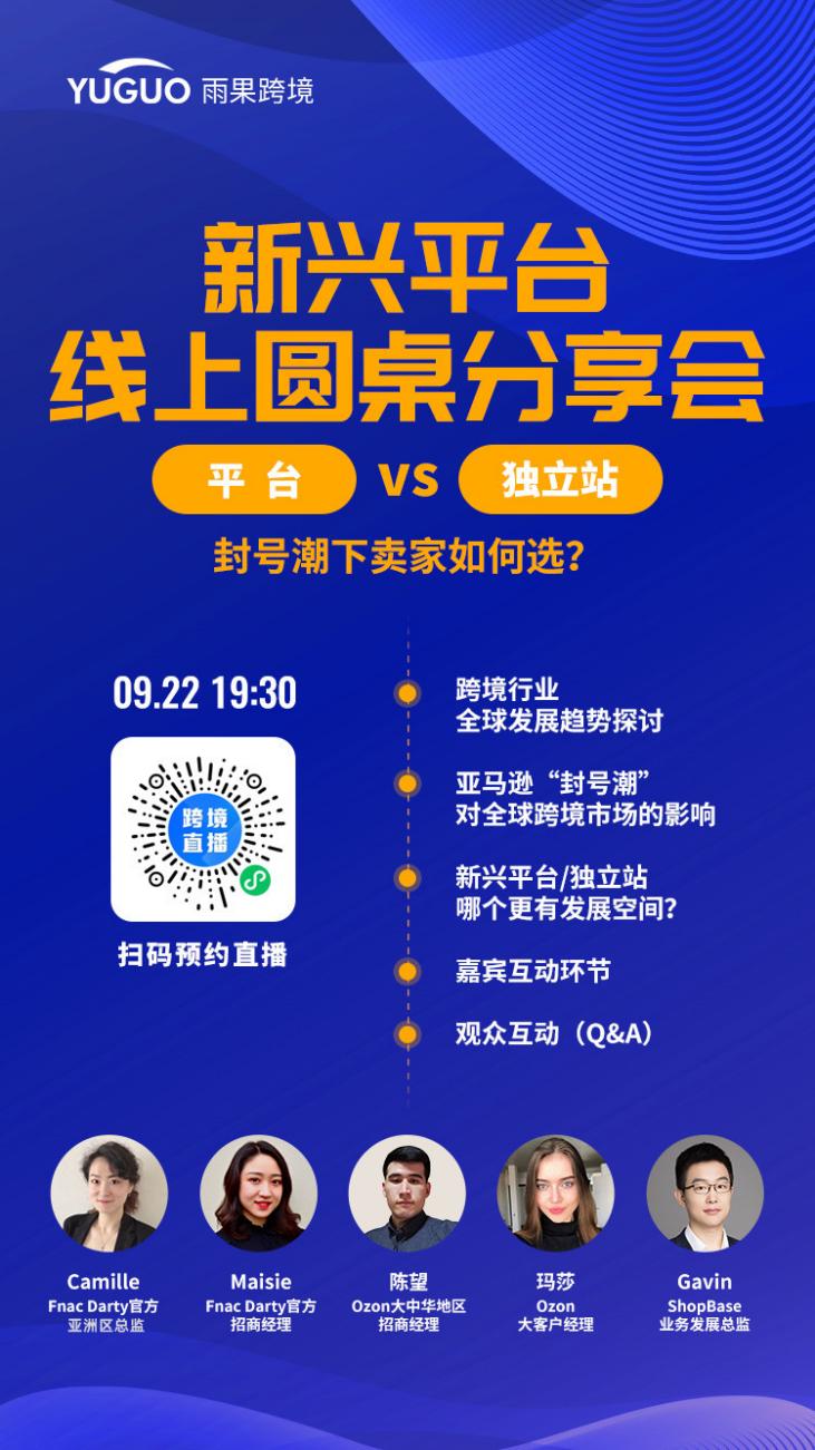 平台VS独立站:封号潮下卖家如何选?