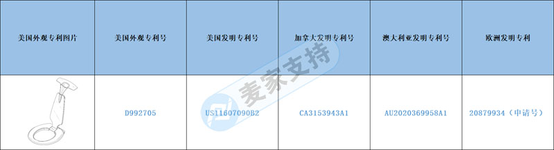 跨境侵权预警——选品避坑之冷门如小小的马桶配件，亦有大大的侵权风险