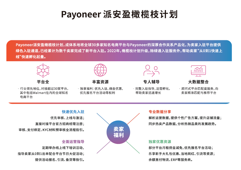 Payoneer派安盈客户专访：解密10亿级卖家增长体系可复制的成功模式