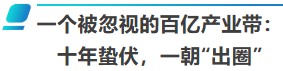 十年蛰伏，一朝出圈！且看中国智能马桶如何征服亚马逊北美站