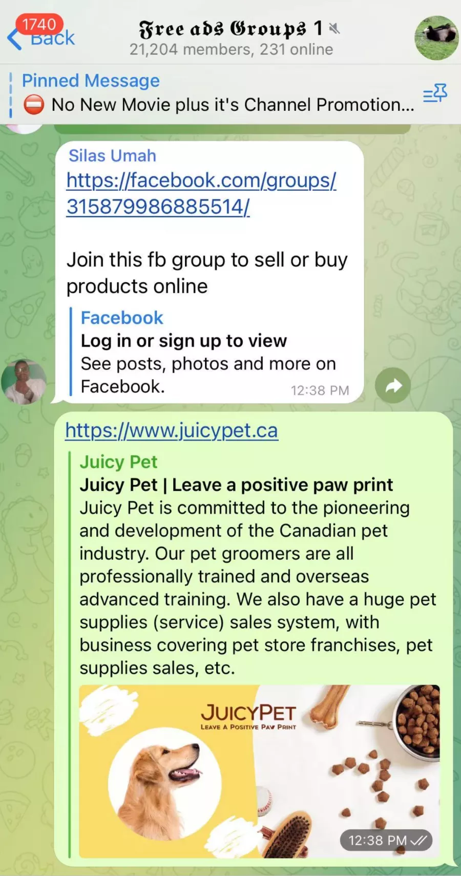 寵物品牌玩轉北美社群營銷：上線首日破5000美金，新用戶激增427%！