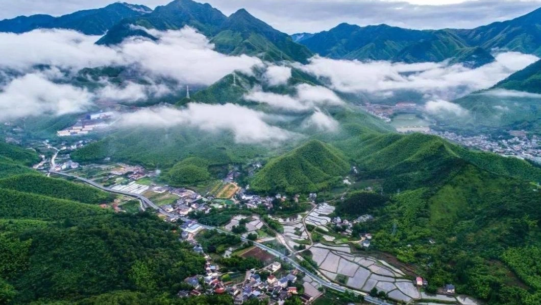 世界椅，安吉造！大健云仓助力安吉椅业走出国门