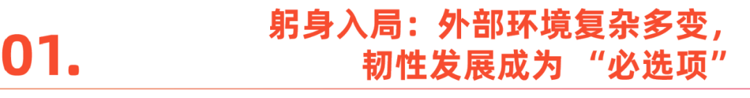 两会观察｜从挑战到机遇，2025年跨境电商如何在变局中实现韧性发展？