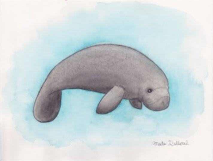 860家店铺被冻结！骷髅头、雪人、南瓜、猫狗、花卉等图案需慎用！