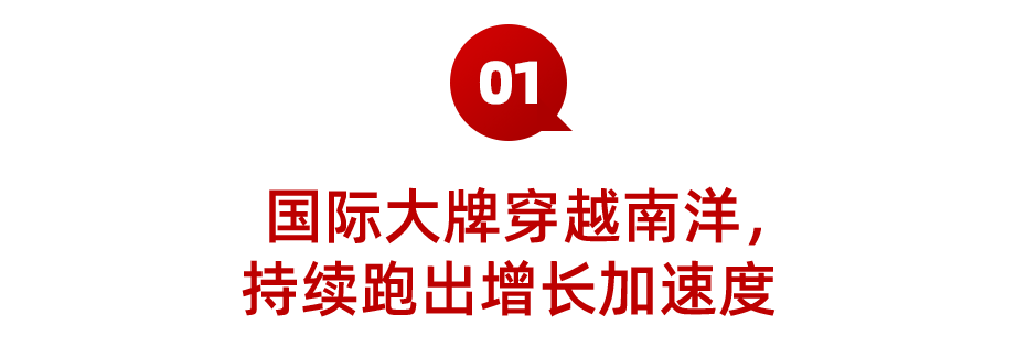 11.11稳坐类目头把交椅！是硬实力还是铁打的运气？