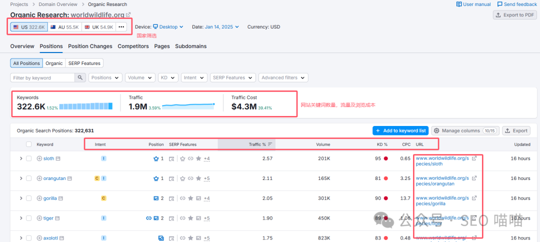 小白也能快速上手，一文教你如何利用SEMrush挖掘关键词，让你的SEO更上一层楼