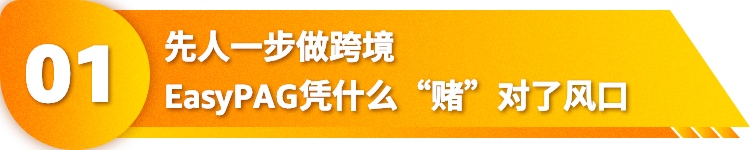 墙上收纳工具如何年入千万美金？揭秘亚马逊细分类目爆品秘诀！