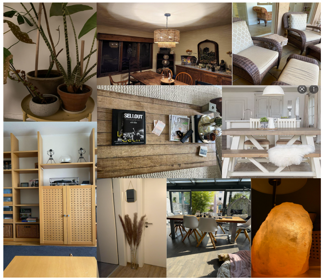 洞察消费者趋势,驾驭家居园艺出海新机