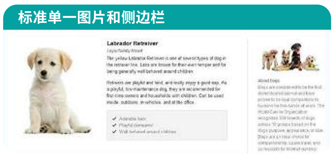 没摸清竞品情况？别急着为ASIN开启广告！