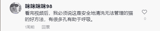 “不锈钢慢食碗”、“风琴玩具”获近千万播放，TK上多款宠物用品再度爆火！