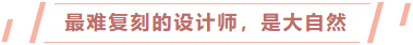 日销千单的仿真花，在亚马逊上开出一条产业路