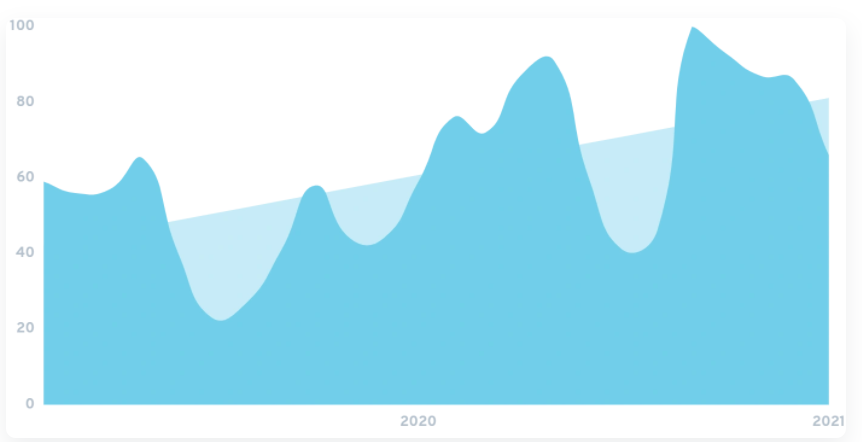 热销品类报告：未来五年，这几类宠物用品将迎来大爆发