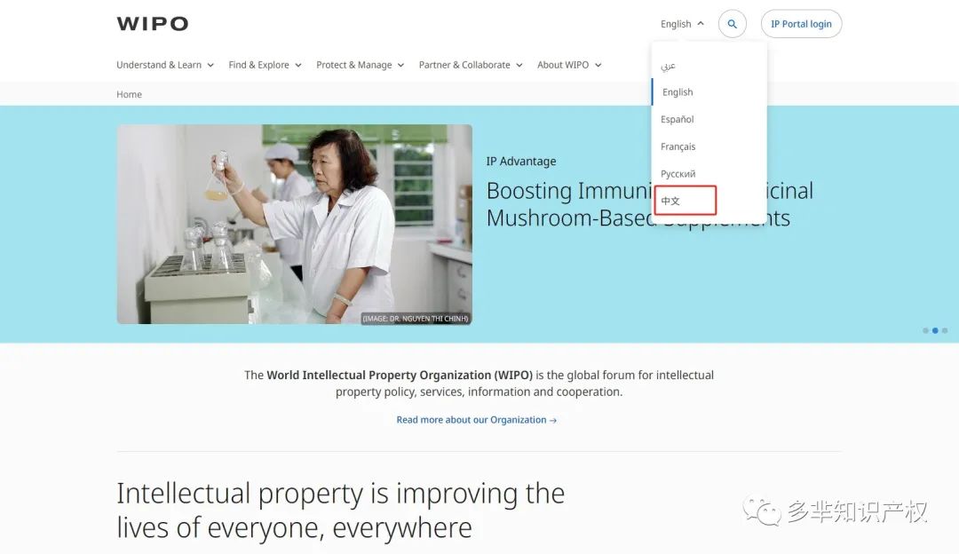 【专利查询】最新版 WIPO+美国外观专利查询教程，超详细的外观专利查询方法，一学就会！