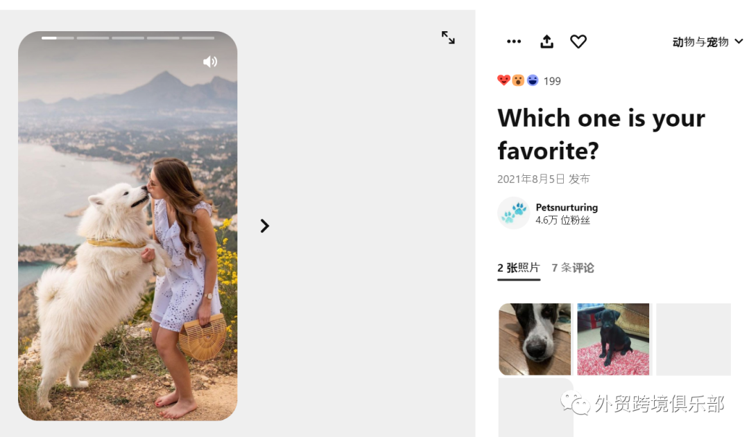 亚马逊运营专员和亚马逊站外推广,哪个更有“钱”景,该如何选择?