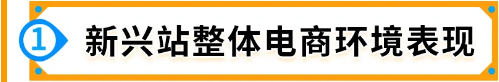 2025年新卖家入驻火热进行中！19大站点选择指南，了解独特商机