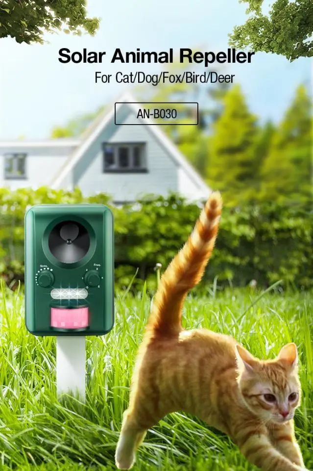 庭院+太阳能+实用性=？潜力选手即将出道