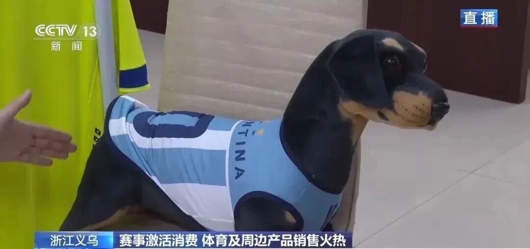 TikTok体育消费狂潮来袭，超级碗、世界杯周边又爆单了