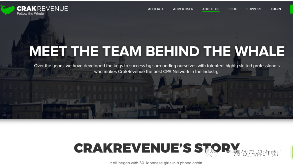 10个可以跑成人用品的广告平台