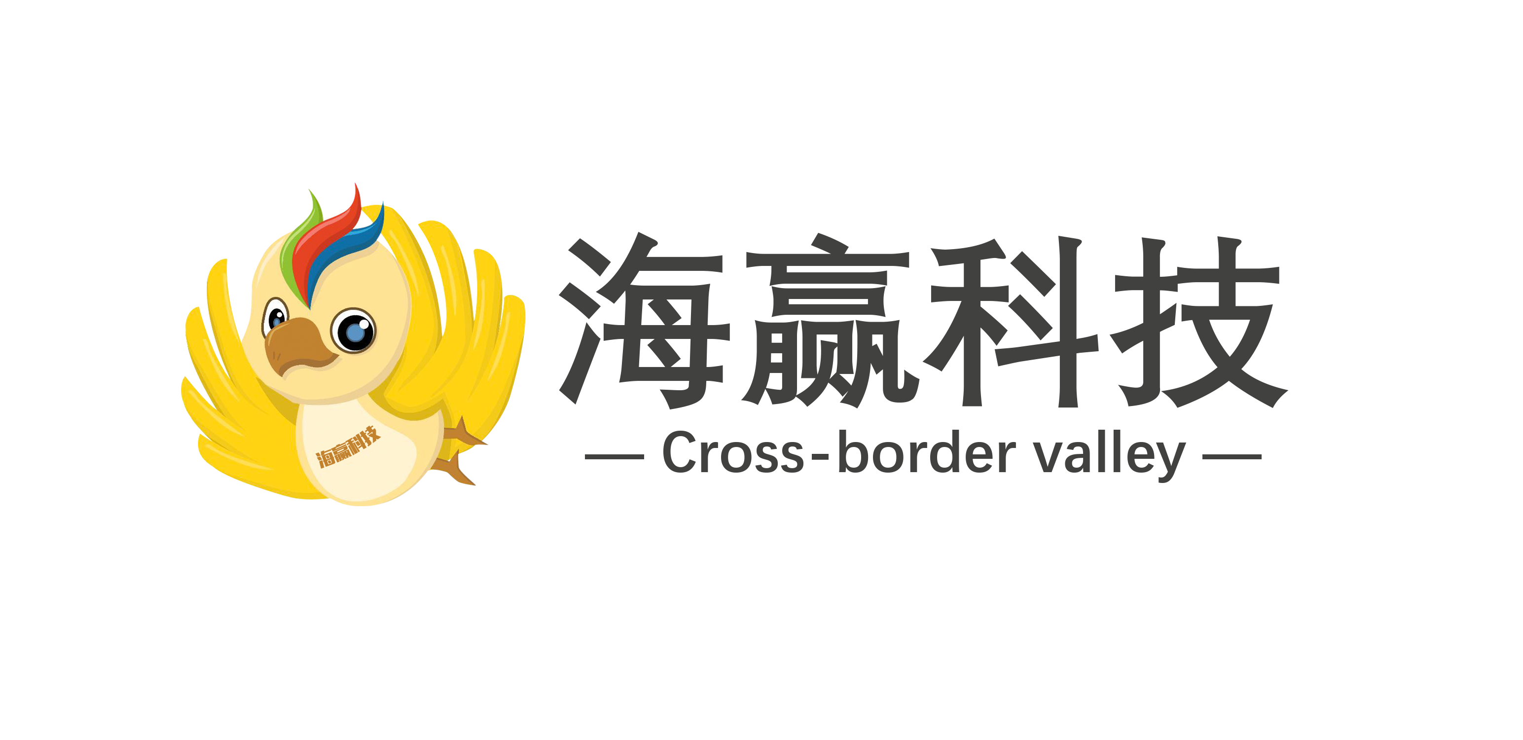 海赢科技：用数据驱动运营，助力中国企业出海