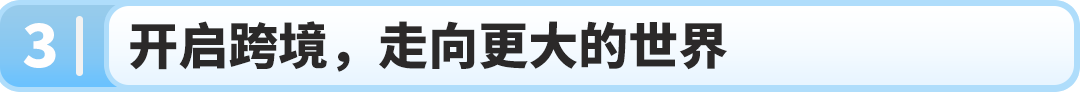 绘王的亚马逊传奇：从卖房创业，到年销5000万美元破圈增长