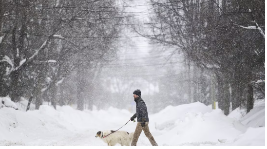 加拿大极端暴雪来袭，末端派送、干线运输或将全面停摆！