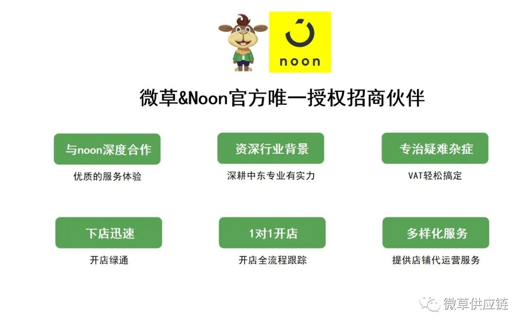 中东市场解析：一文带你了解noon平台！