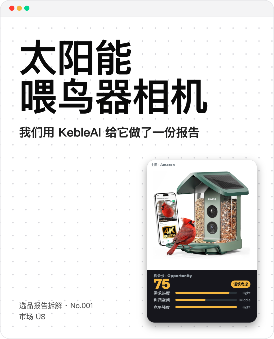 这个产品,也许会改变你对现在亚马逊卖货的看法