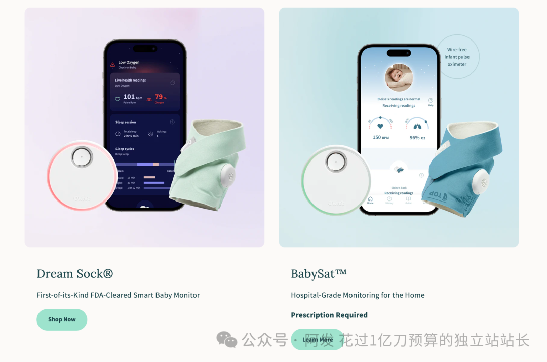 11个最会赚钱的独立站