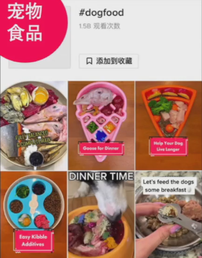 备战2023黑五，TikTok Shop旺季爆品预测