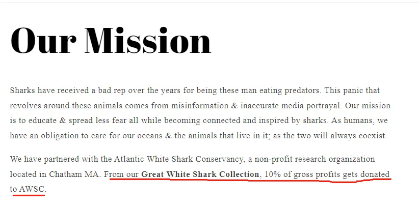 成本3块卖到100， 独立站靠这招火爆欧美市场