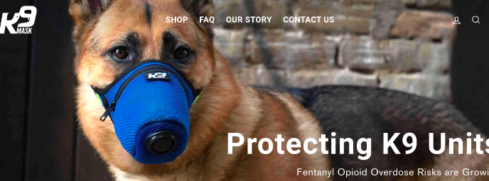 宠物口罩热度飙升！亚马逊和Temu已开卖