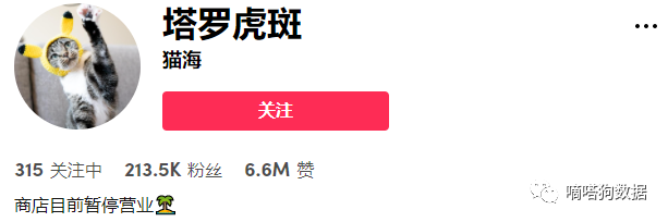 产品火爆到让商家停业赶订单！TikTok爆款“针织宠物帽”征服老外铲屎官