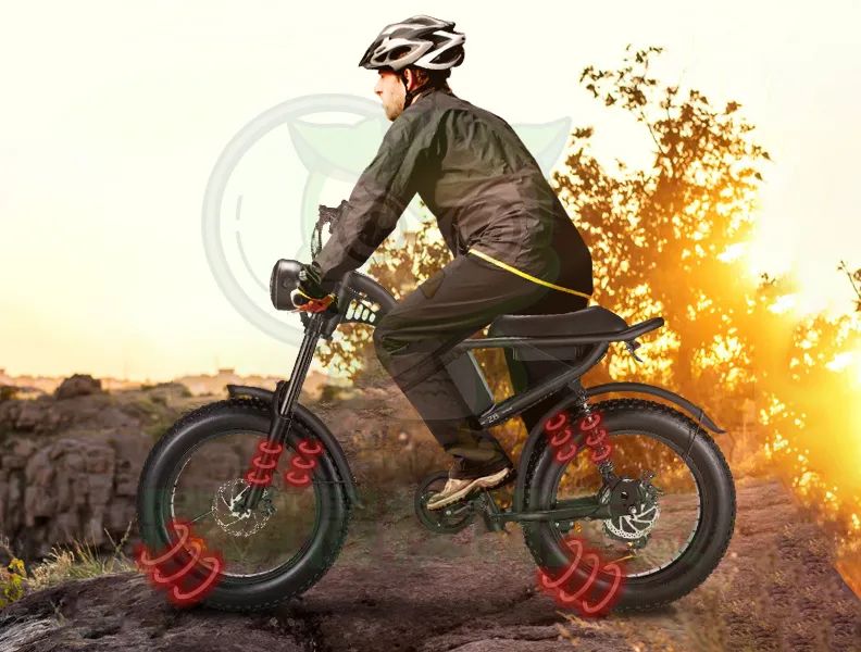 25-cv-00081已有店铺被冻结!警惕这款复古电动自行车Electric Bicycle!