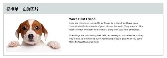 同类产品，为什么别人卖就能爆单！亚马逊深度案例教你做转化！