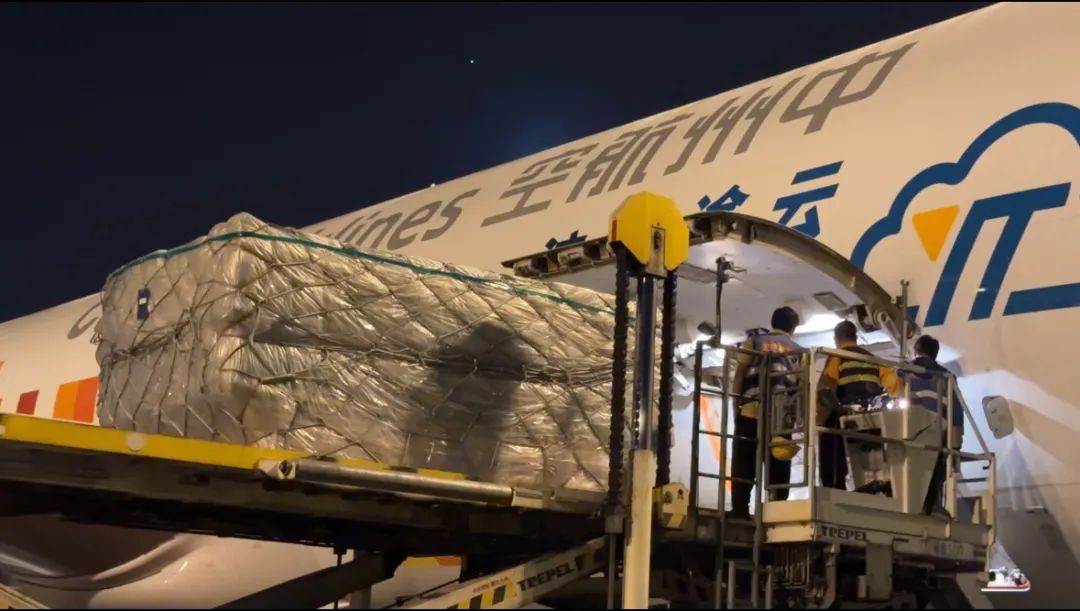 “黑五”再创新高，「纵腾速度」助力客户赢战旺季