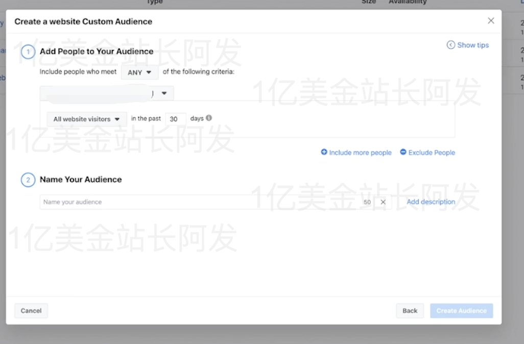 【7】史上最强独立站入门教程-Facebook广告入门