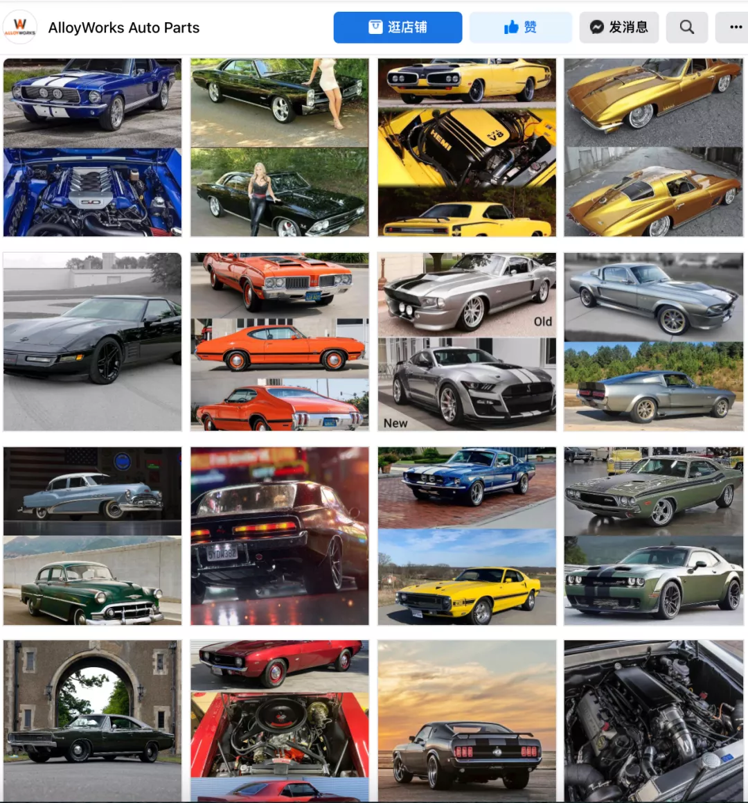 成功案例｜平台转型独立站，Alloyworks的品牌化升级之道