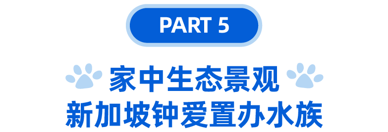 宠物情报局｜宠物虽小，市场却大！盘点东南亚宠物热门商品