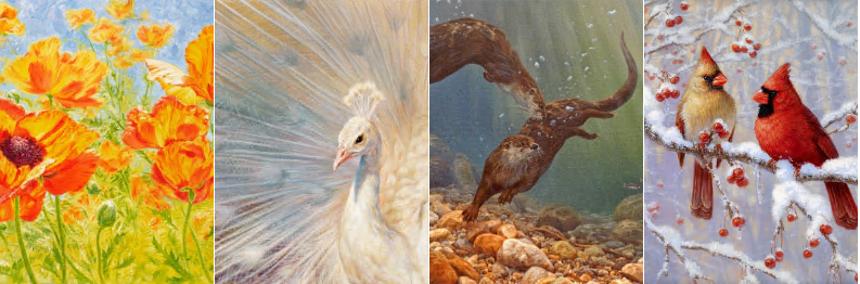 已有33个被告！加拿大艺术家6个野生动物版权TRO！