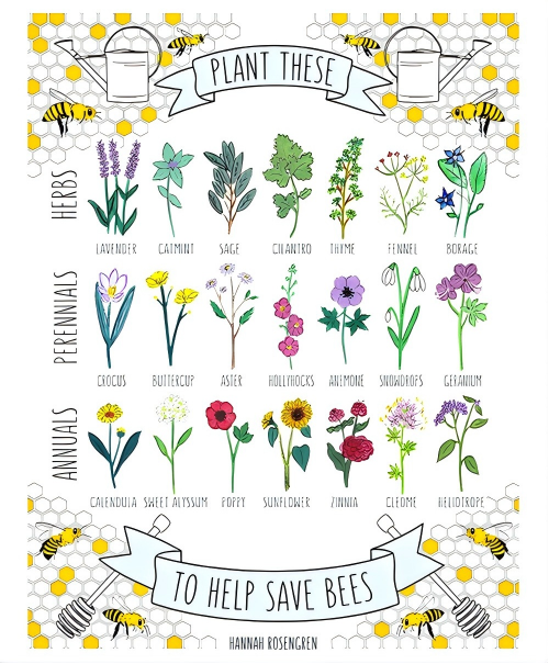 70家因一张蜜蜂插画被告？艺术家Hannah Mae Rosengren重拳出击！