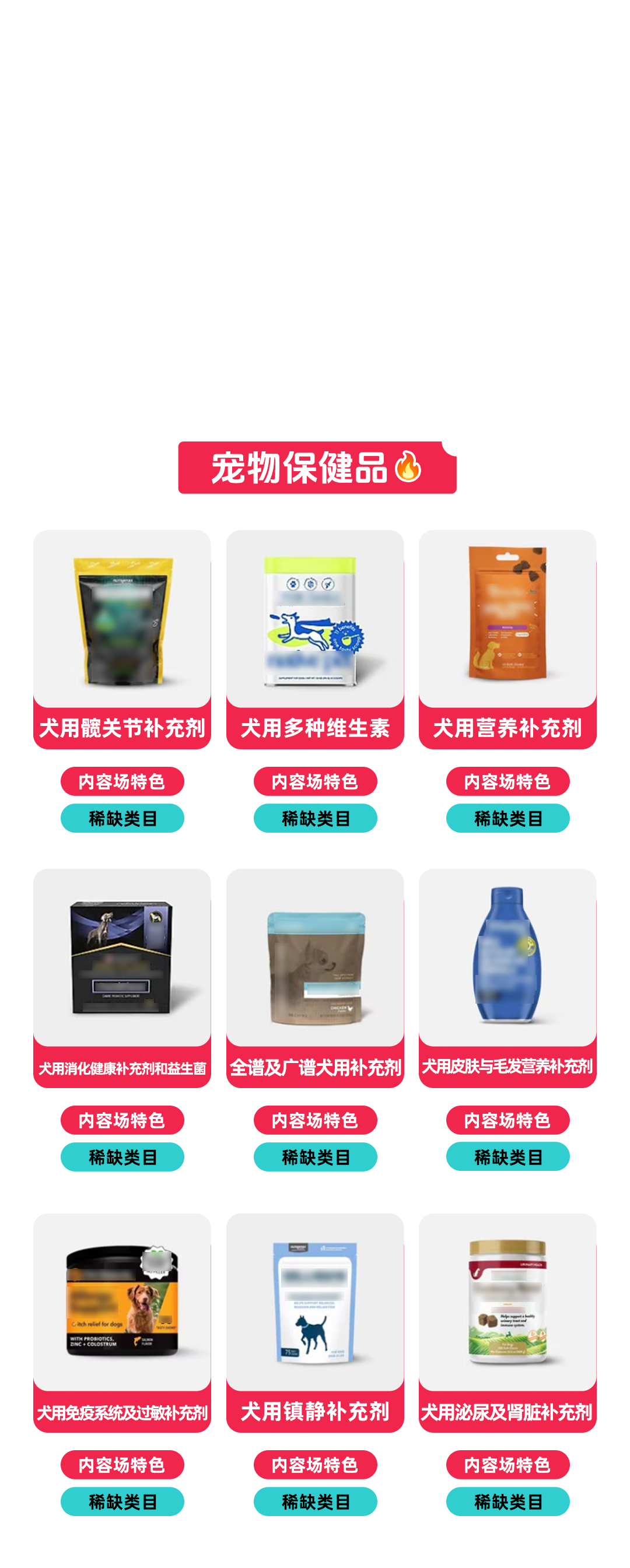 聚焦夏促增长方向，TikTok Shop美区宠物类目重点商家闭门会圆满落幕