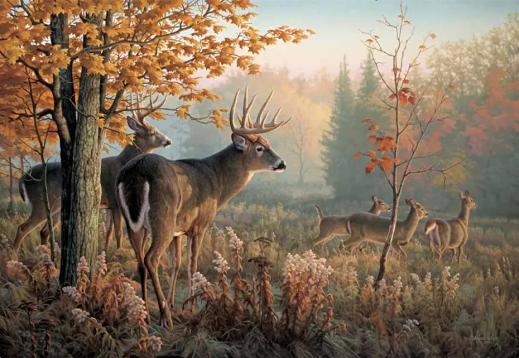 杀疯了!5个商标+17张图片冻结1767家店铺,listing有用到的立即下架!