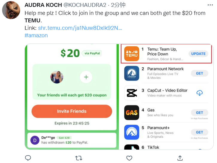 “我们做跨境电商的,拼多多出海一个月就把我们卷死了”