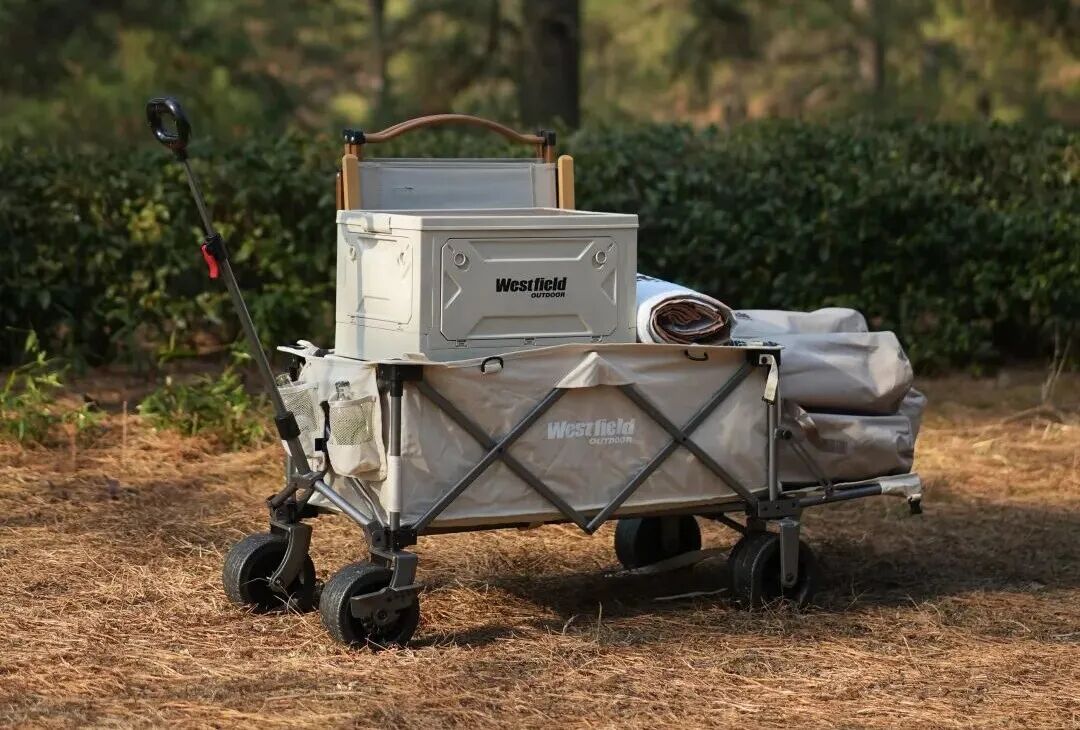 告别“野蛮生长”之后,中国品牌出海的“三元进化论”